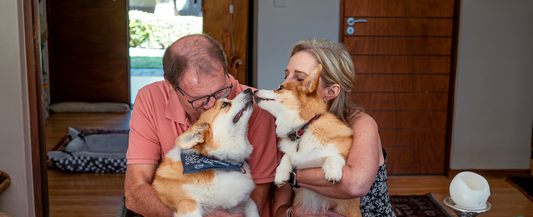 Lights, Camera, Woof: Star In Our Videos!