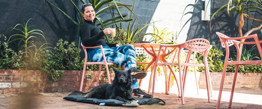 The Importance of Pet Travel Gear