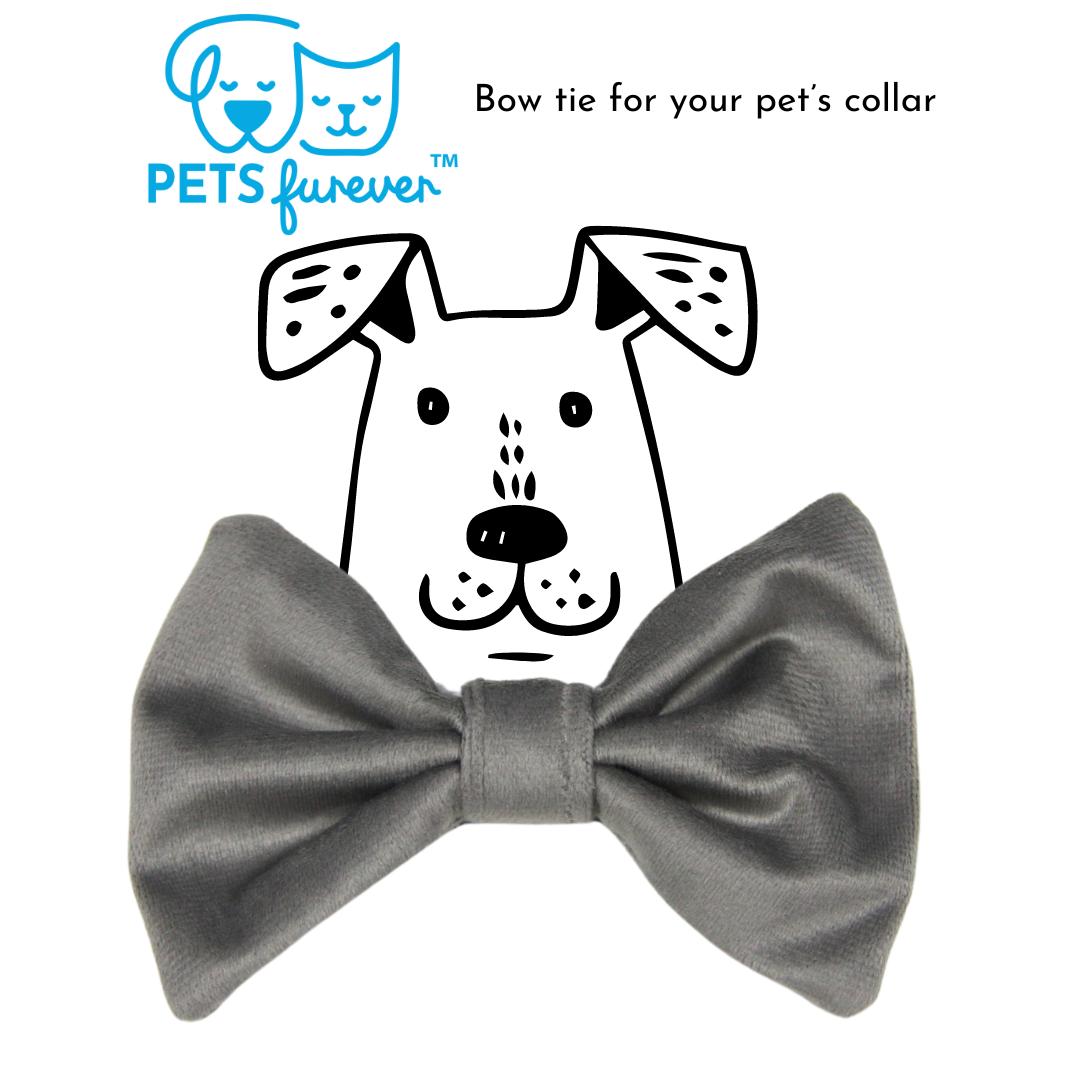 Bow Tie
