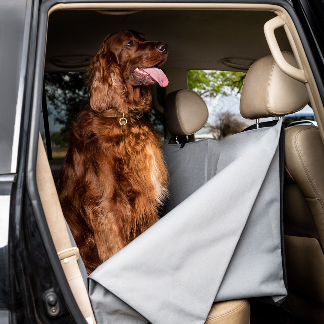 DELUXE CAR SEAT HAMMOCK