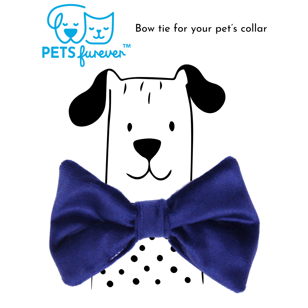 Bow Tie