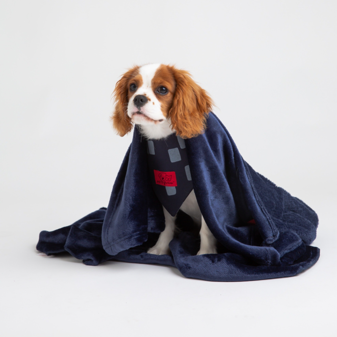 BLANKIE