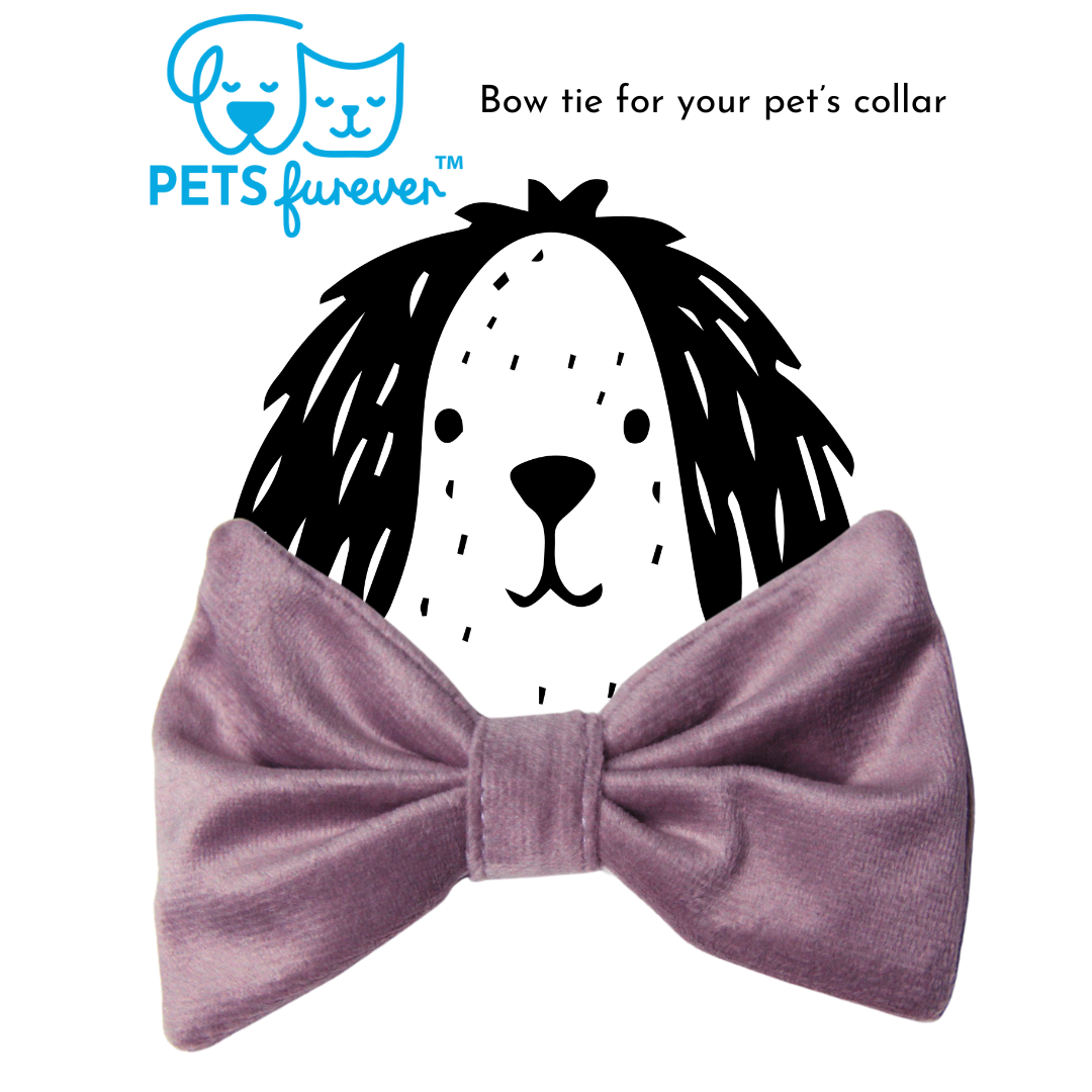 Bow Tie