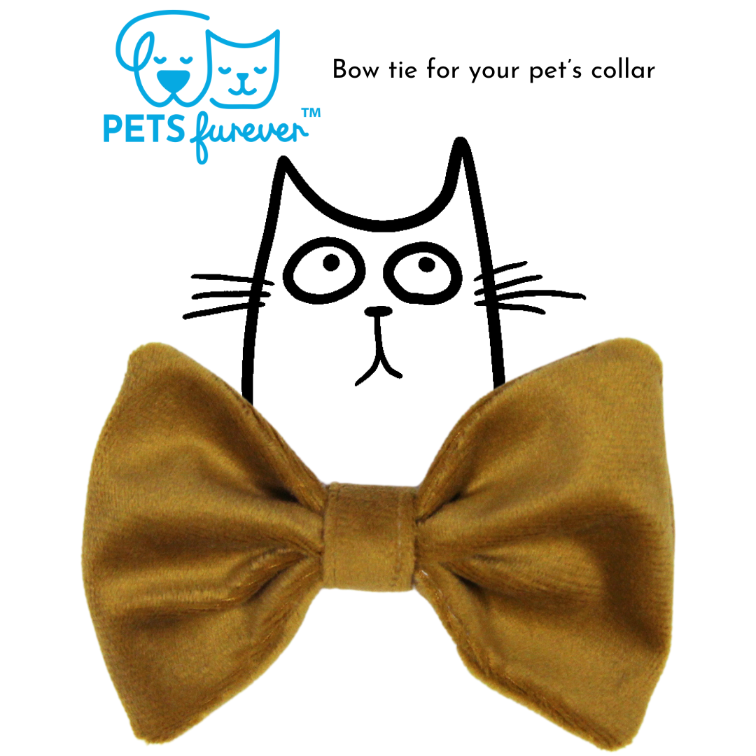 Bow Tie