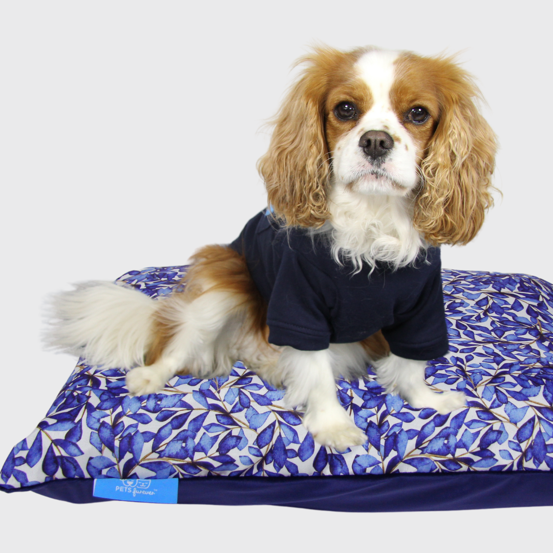 Coosh Bed