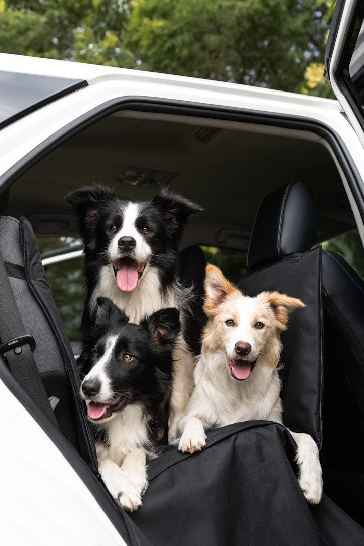 DELUXE CAR SEAT HAMMOCK