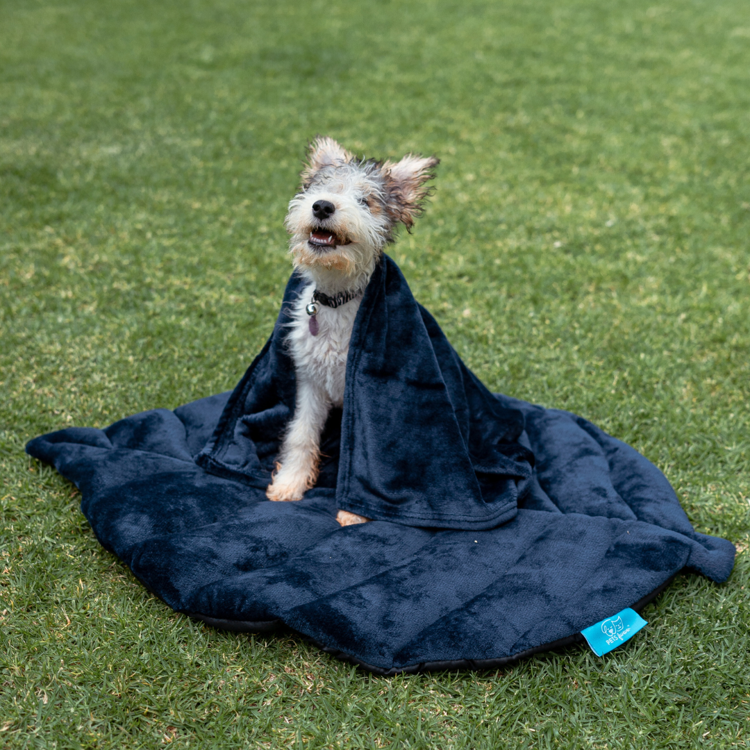 BLANKIE